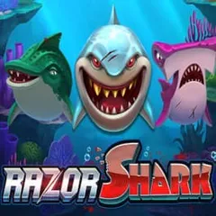 Razor Shark real money pokie at Roby Casino NZ